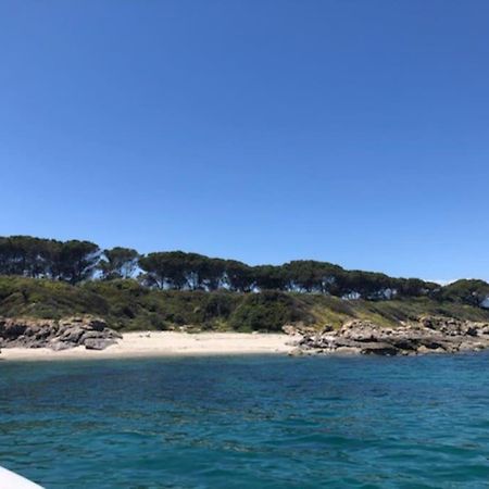 Appart. / Clim / Piscine / Mer A 300M Lejlighed Linguizzetta Eksteriør billede