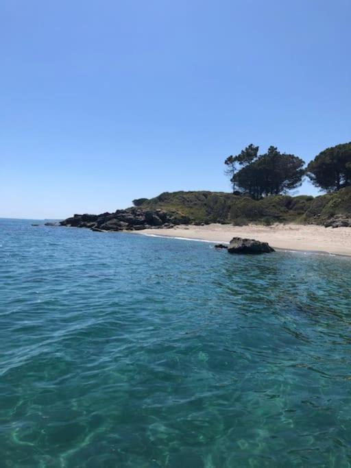 Appart. / Clim / Piscine / Mer A 300M Lejlighed Linguizzetta Eksteriør billede
